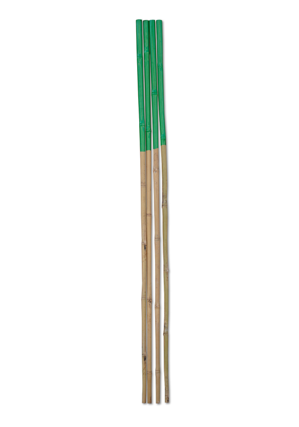 50CM PVC Coated Bamboo Canes Wholesale​